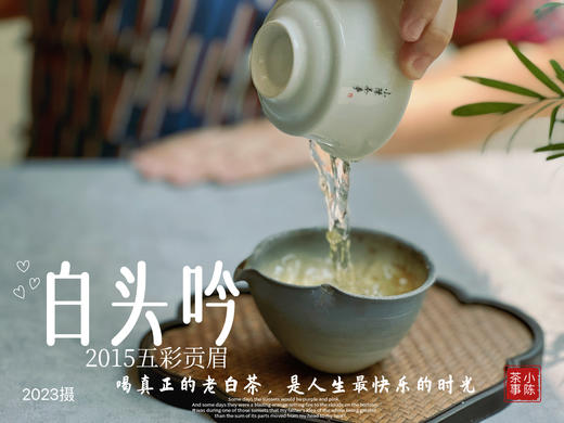 【独一份】白茶稀缺品珍藏，2015五彩贡眉7年了首次推出（50克） 商品图6