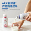界界乐A2原味酸奶饮料250ml 商品缩略图2