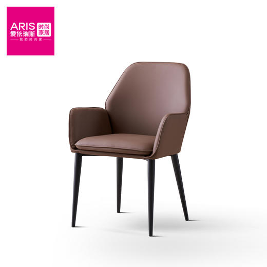 爱依瑞斯  【H106餐椅】 商品图0