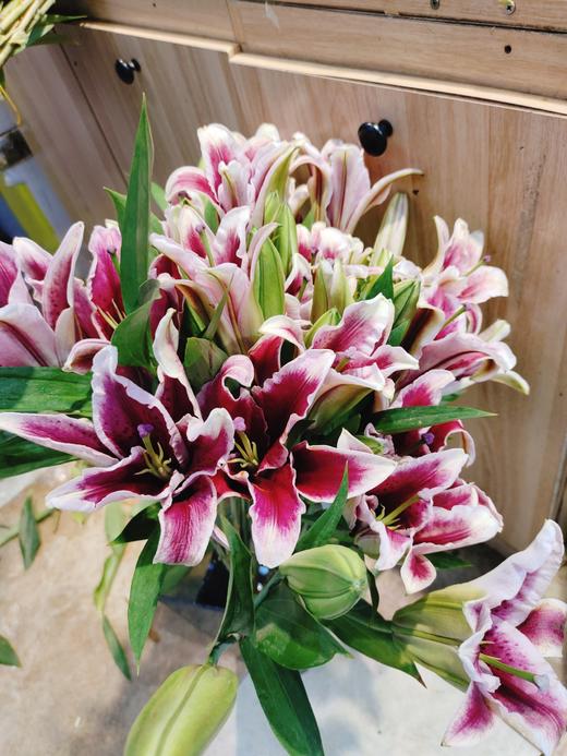 黑美人红百合3支 商品图1