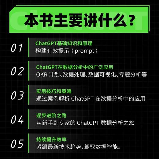 利用ChatGPT进行数据分析 这*是ChatGPT人工智能AIGC数据处理算法数据可视化计算机数据分析书籍 商品图2