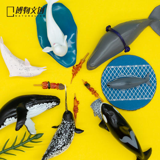 博物小馆 原创 | 天然 呆 鲸喜系列 鲸豚手办 动物模型 商品图0