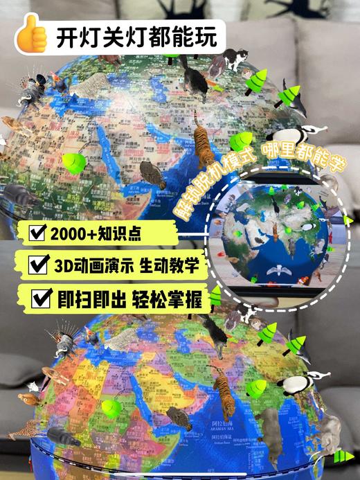 🔥【超有趣超解压朋宸AR亮灯滚珠地球仪🌍学习摆设完美结合】这个能玩能作摆件还长见识的地球仪，你该不会还不知道吧？ 商品图4