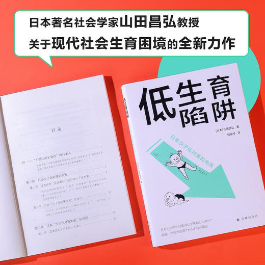 低生育陷阱 日本少子化对策的失败 山田昌弘 著 社会科学 商品图2