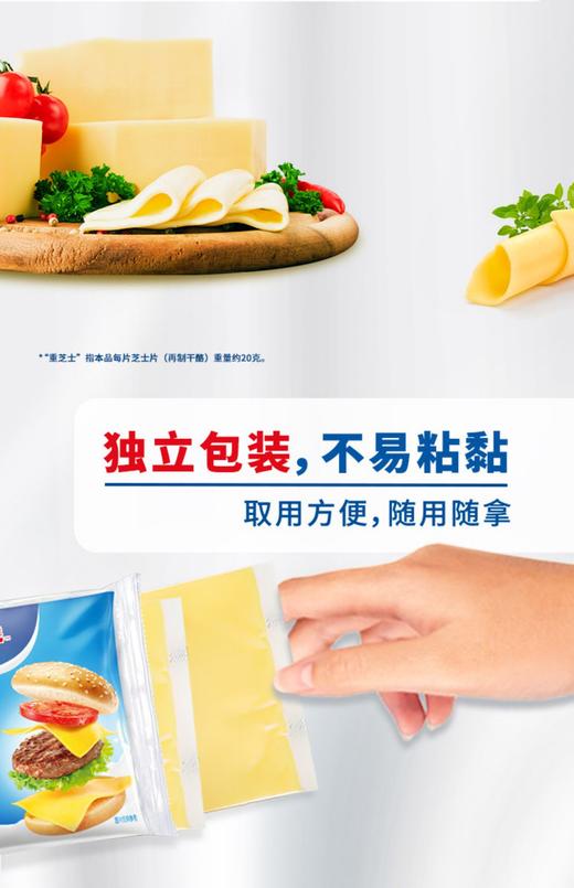 安佳芝士片 250g 商品图1