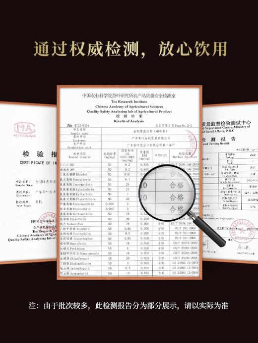 金帆陈皮白茶大礼盒5g*42 商品图2