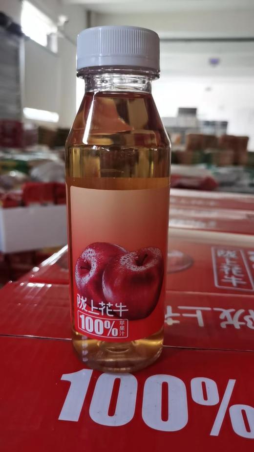 陇上花牛100%苹果汁 商品图0