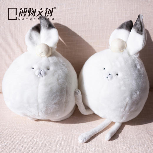 博物小馆 原创 |圆宝 北极兔 毛绒 可爱  睡觉 玩偶公仔 商品图2