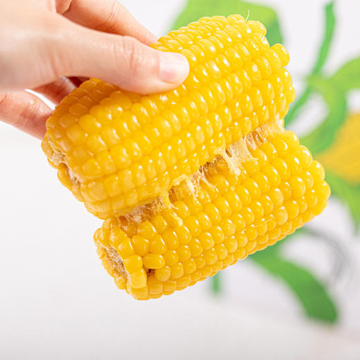 田里有草甜糯玉米 非转基因，509项农残0检出，无防腐剂，无添加剂 商品图4