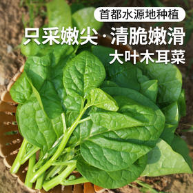 密云农家木耳菜300g  农家肥种植  每天新鲜采摘  柔嫩软滑  清新爽口