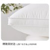 高回弹久睡不塌陷护颈枕48*74cm G114800035 商品缩略图2