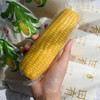 田里有草甜糯玉米 非转基因，509项农残0检出，无防腐剂，无添加剂 商品缩略图5
