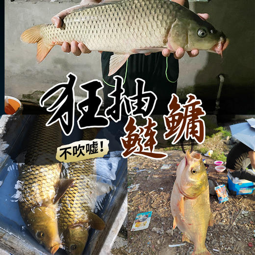 伽玛精工新品上市 刚炼鲢鳙版钓竿3500克超大钓重 商品图2