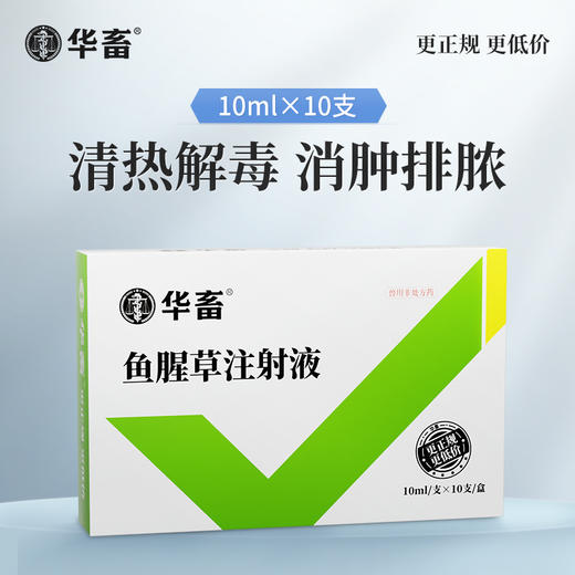 华畜鱼腥草注射液 产后康清热解毒消脓排肿 商品图0