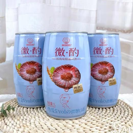 贝尔嘉微酌杨梅味精酿啤酒【1L】 商品图0