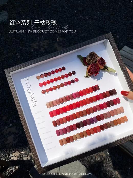 【秒杀价】48色伈柚里干枯玫瑰 商品图1