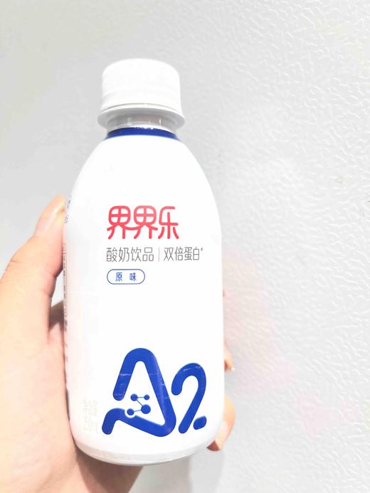 界界乐A2原味酸奶饮料250ml 商品图1
