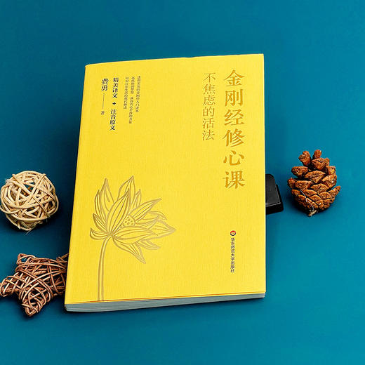金刚经修心课 不焦虑的活法 阿弥陀佛修心课 心灵疗愈励志经典书 商品图7