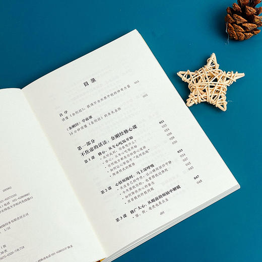 金刚经修心课 不焦虑的活法 阿弥陀佛修心课 心灵疗愈励志经典书 商品图10
