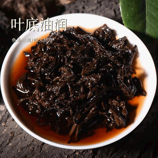 尚礼村进宝1028普洱熟茶357g 商品图4