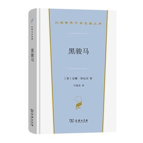 黑骏马