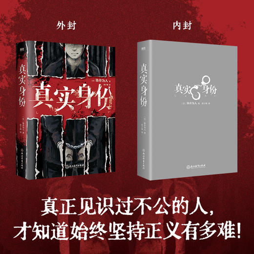 真实身份 日本现象级社会派推理小说 商品图3