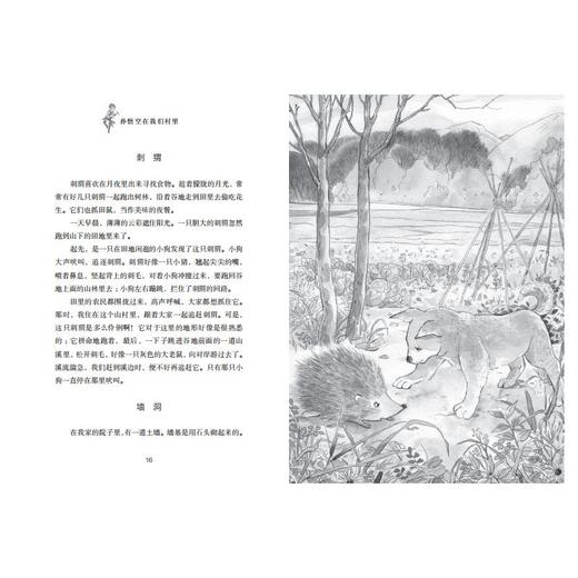 孙悟空在我们村里 商品图1