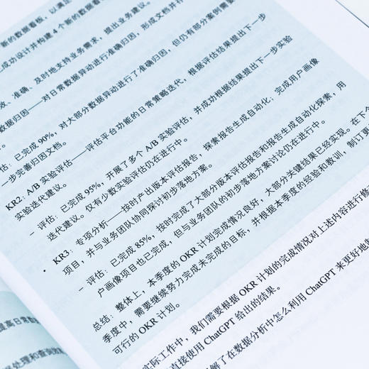 利用ChatGPT进行数据分析 商品图2