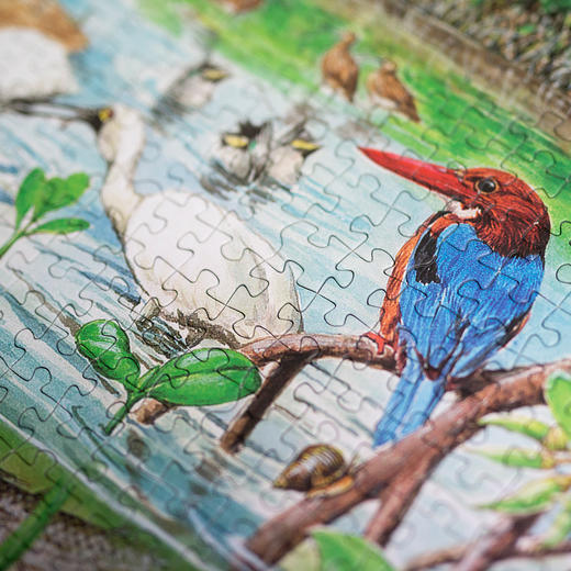 博物小馆原创【生态系统大拼图】章鱼哥精美手绘1000块拼图 商品图3