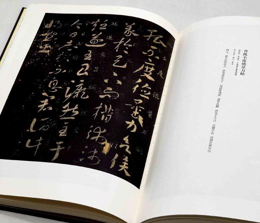 《章草全集》，精装，8开巨册，全2册，钟海涛编，河南美术出版社2018年一版一印，定价1600，售价1250元。 商品图11