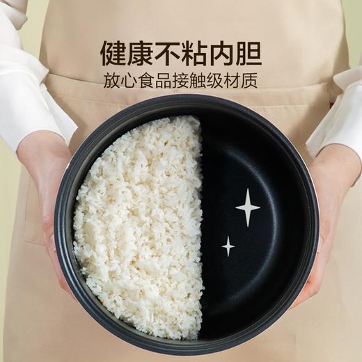 苏泊尔（SUPOR）5L 电饭煲 电饭锅 大火力 柴火饭 智能预约 多功能 焖煮 防溢家用 电饭煲SF50FC596 商品图5
