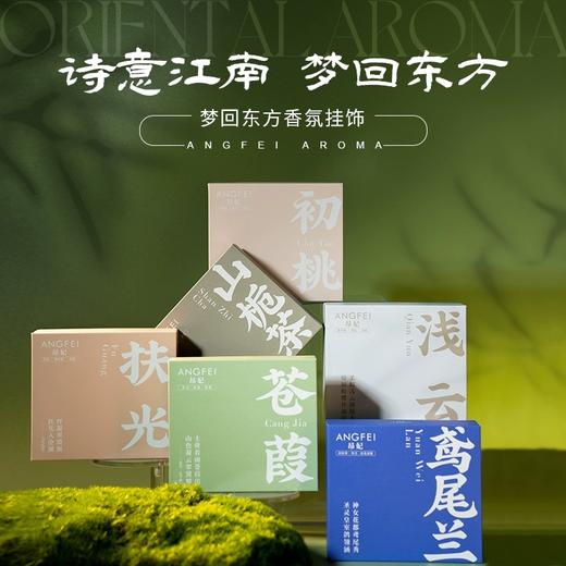 【昂妃】车载衣柜扩香石 除味香薰香挂 室内香氛挂件 创意ins风挂饰 商品图0