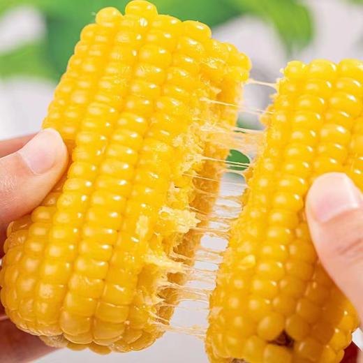 田里有草甜糯玉米 非转基因，509项农残0检出，无防腐剂，无添加剂 商品图3