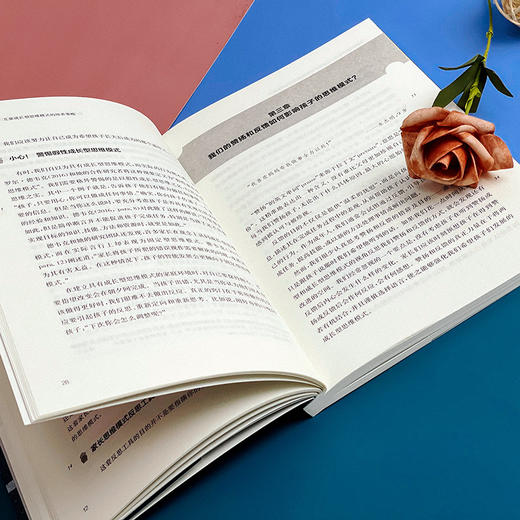 家长的思维模式 儿童成长型思维模式的培养策略 进取型学生 商品图10