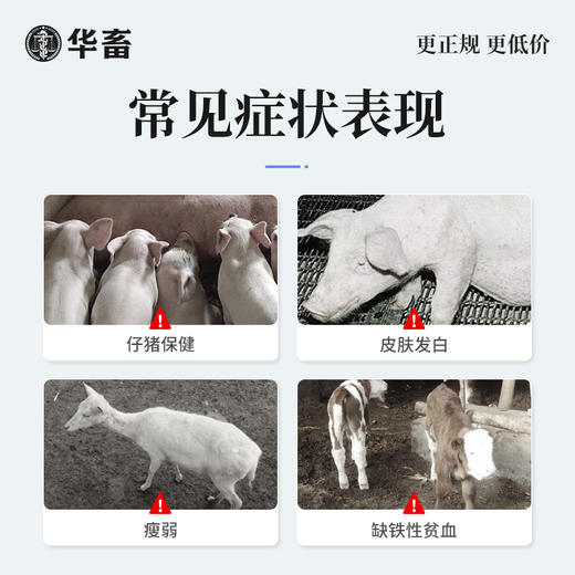 【积分兑换】华畜右旋糖酐铁注射液 血宝 补气血 抗贫血 仔猪补铁生血针 兽用生血素 商品图1