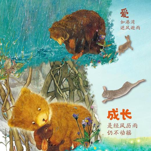 中少阳光图书馆 爸爸 别怕 2023年版 3-6岁 白冰 著 儿童绘本 商品图2