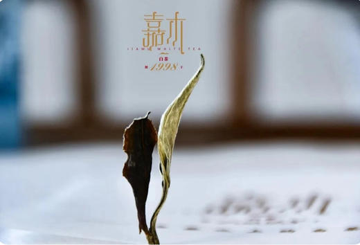 普洱景谷高山白茶系列——月光白（白茶饼） 200g/饼 商品图1