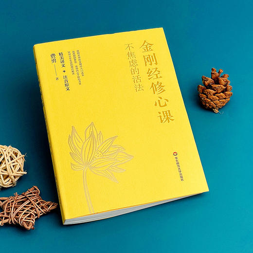 金刚经修心课 不焦虑的活法 阿弥陀佛修心课 心灵疗愈励志经典书 商品图5