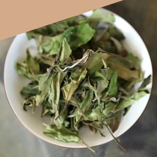 福鼎白茶 | 中雄御品 2022年白露·鲜 一级寿眉40g*3包 商品图1