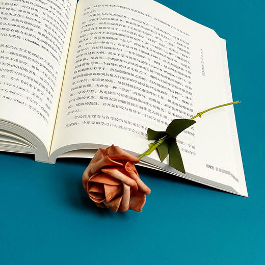 【预售】听说 探索课堂互动的研究谱系 肖思汉著 课堂互动研究 教育实践 商品图10