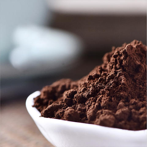 灵芝粉 商品图1