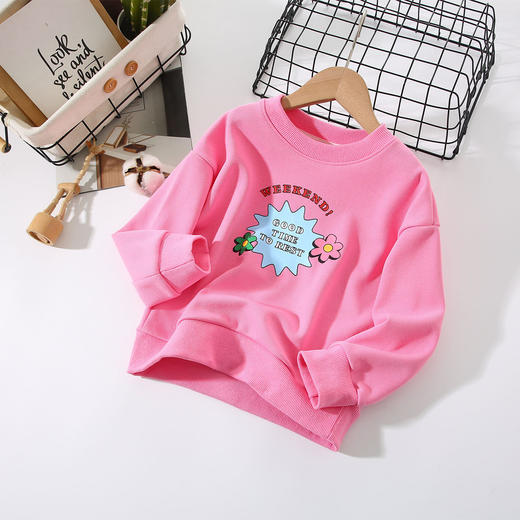 【特价39.9元/2件】童装新款女童圆领卫衣，秋装套头衫，印花纯色中小宝宝男童春秋装li 商品图3