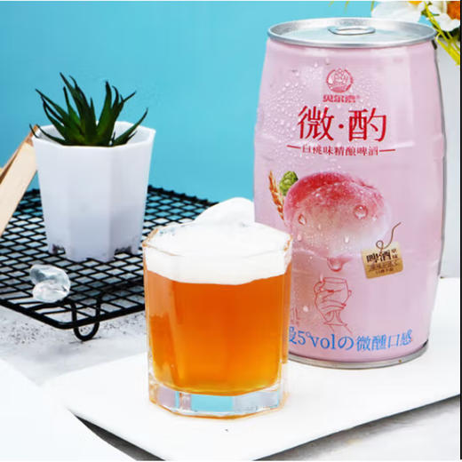 贝尔嘉微酌杨梅味精酿啤酒【1L】 商品图1