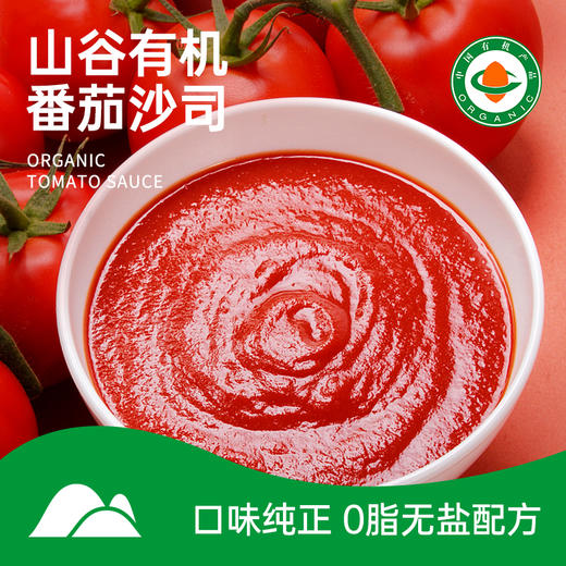 【有机番茄沙司】口味纯正，有机0添加 商品图0