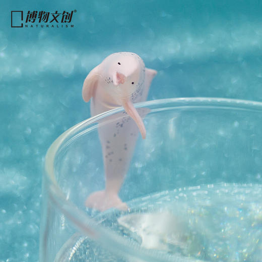 博物小馆 原创 | 天然 呆 鲸喜系列 鲸豚手办 动物模型 商品图3