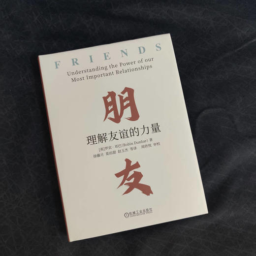 官网 朋友 理解友谊的力量 罗宾 邓巴 人际社交友谊研究 心理学书籍 商品图2