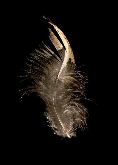 中洲公馆同款 过道装饰画1 商品图0