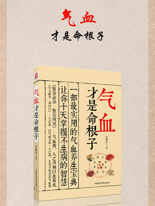 气血才是命根子 养五脏平衡气血调养体质活血化瘀调经养颜疏通气血经络美容消虚滞滋补调理老中医调气血食疗药膳艾灸9787506772242 商品图2