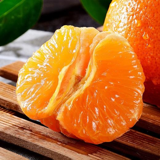 南非克莱蒙无籽蜜柑 商品图1