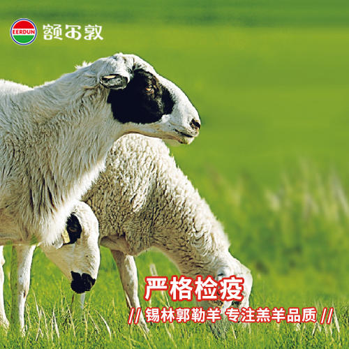 【礼盒】额尔敦 羊羊得意礼 商品图3